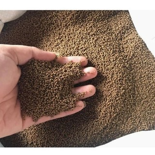 [BÀI CÁM PHI-CHÉP CÂU THIÊN NHIÊN] BÀI CÁM PHI CHÉP XAY TRỘN SẴN 3.2 kg