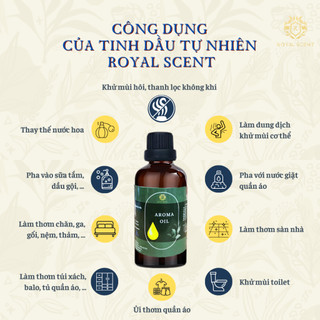 Tinh Dầu Vỏ Bưởi Cao Cấp – Hương Thơm Thư Giãn, Chăm Sóc Tóc Toàn Diện
