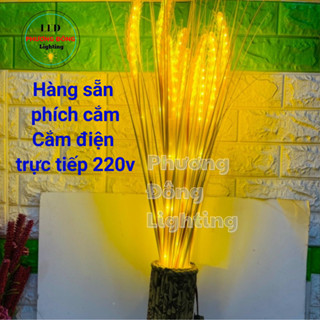  Bộ đèn LED Bông lúa mạch 10 bó màu vàng trang trí siêu đẹp 
