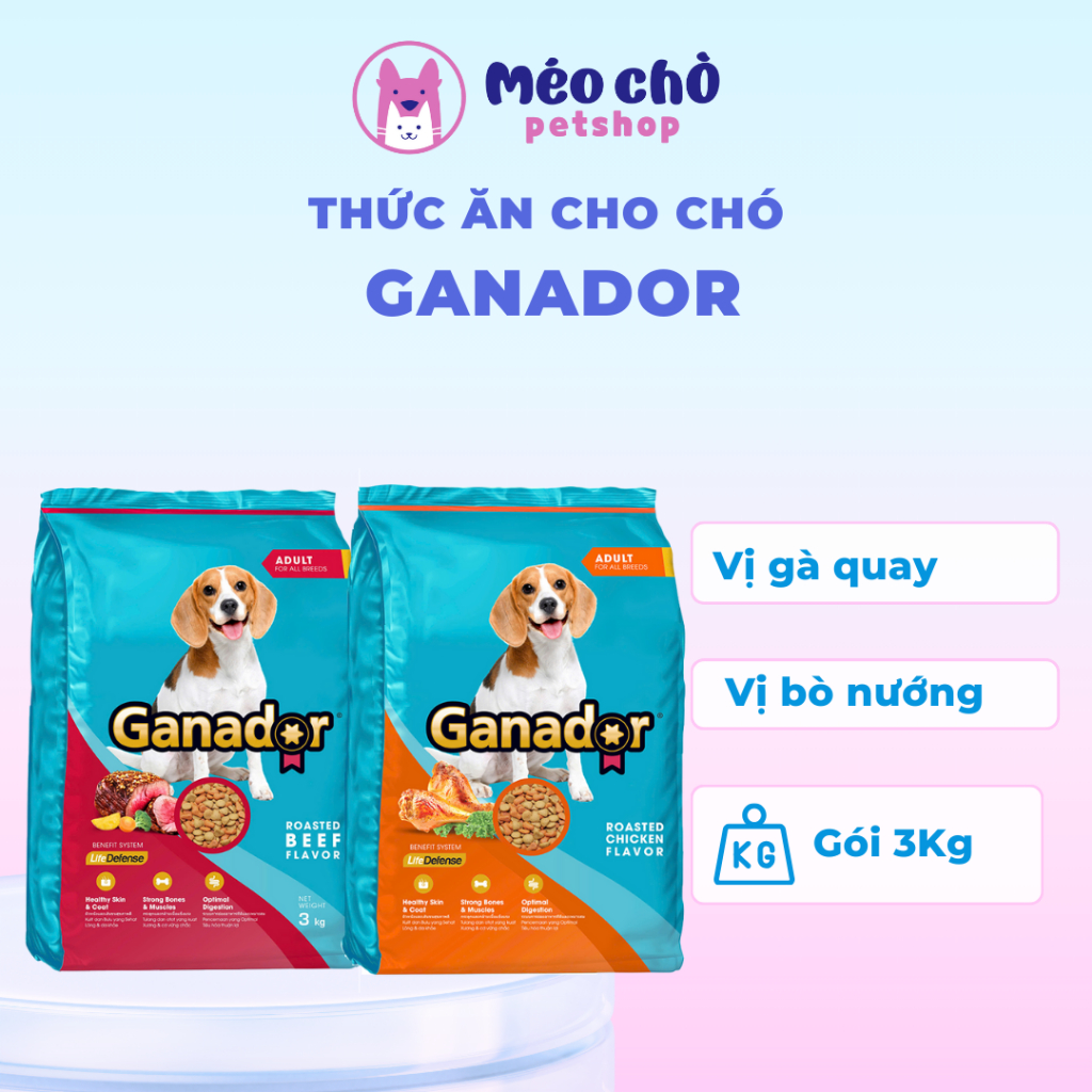 Hạt cho chó Ganador vị Bò nướng và Gà quay 3KG phát triển xương và cơ bắp chắc khoẻ,hỗ trợ tiêu hoá 