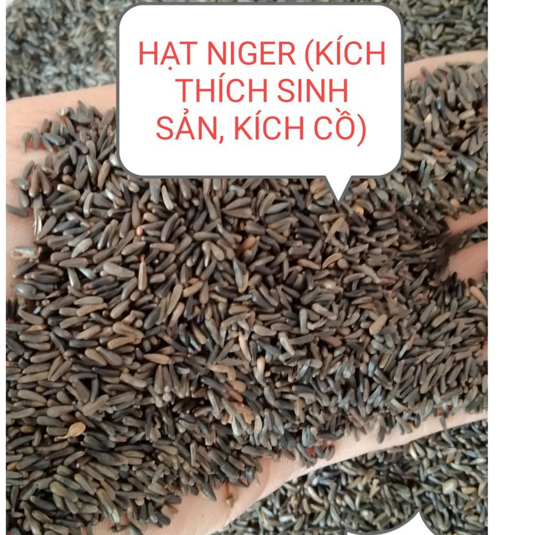 HẠT NIGER (KÍ.CH THÍ.CH SI.NH SẢ.N, KÍC.H C.Ồ) CHO CHIM VẸT