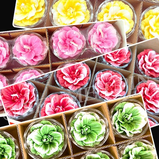 Hộp 12 cốc nến bơ hoa thái nến hoa nổi ly đựng là thuỷ tinh
