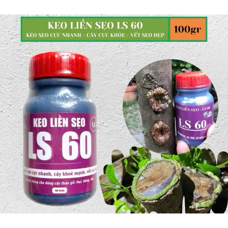 Keo Kích Mầm, Kích Chồi LS80, LS60,LS50, Bôi Ở Đâu Ra Chồi Ở Đó, Cây khỏe không suy, không đen chồi 