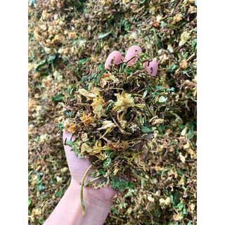 1kg trà sơn mật hồng sâm SAPA thượng hạng nhiều hoa cỏ