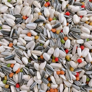  Hạt hướng dương tươi mix hạt trái cây gói 500g và 1kg dành cho vẹt 