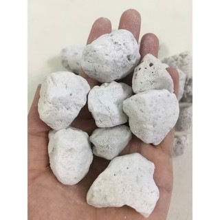 Đá lông vũ ( nham thạch trắng) cho hồ cá thủy sinh