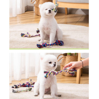 Dây Thừng Đồ Chơi Cho Chó, Dây Bông Bện Xương Cho Chó Con Mọc Răng Nhai Gặm 17cm, 32cm Cherie Petshop