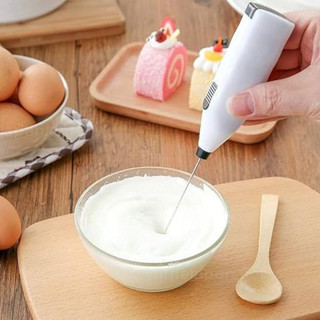 Máy tạo bọt cho sữa, cà phê Echo Metal 20cm (Sản phẩm không kèm pin) - Hàng nội địa Nhật Bản