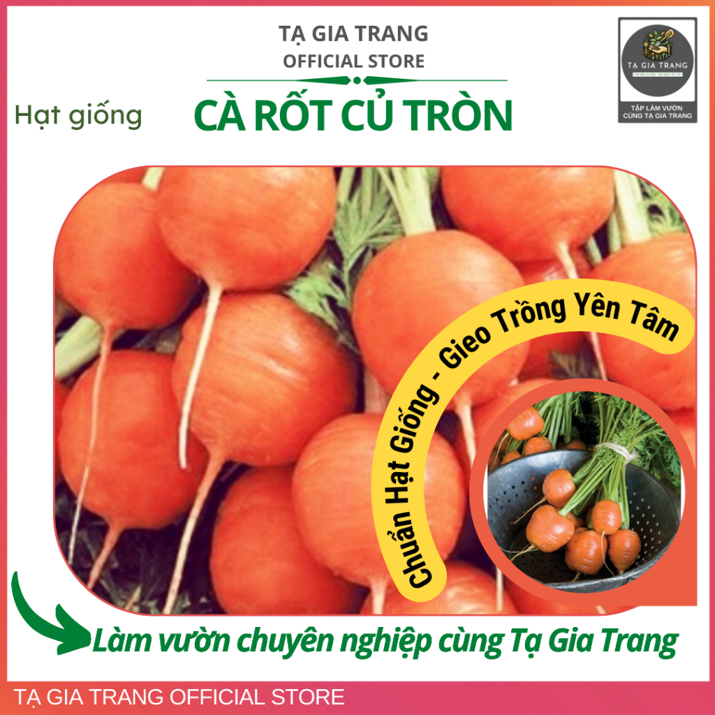 Hạt giống cà rốt củ tròn - Dễ trồng, nảy mầm nhanh, vị ngọt