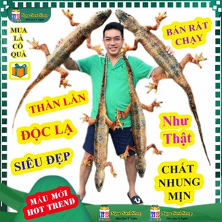 [ĐỘC LẠ] GẤU BÔNG CON THẰN LẰN THẠCH SÙNG TẮC KÈ 3D NHƯ THẬT DÀI 130CM  ĐẸP NHƯ ẢNH - đồ chơi doll