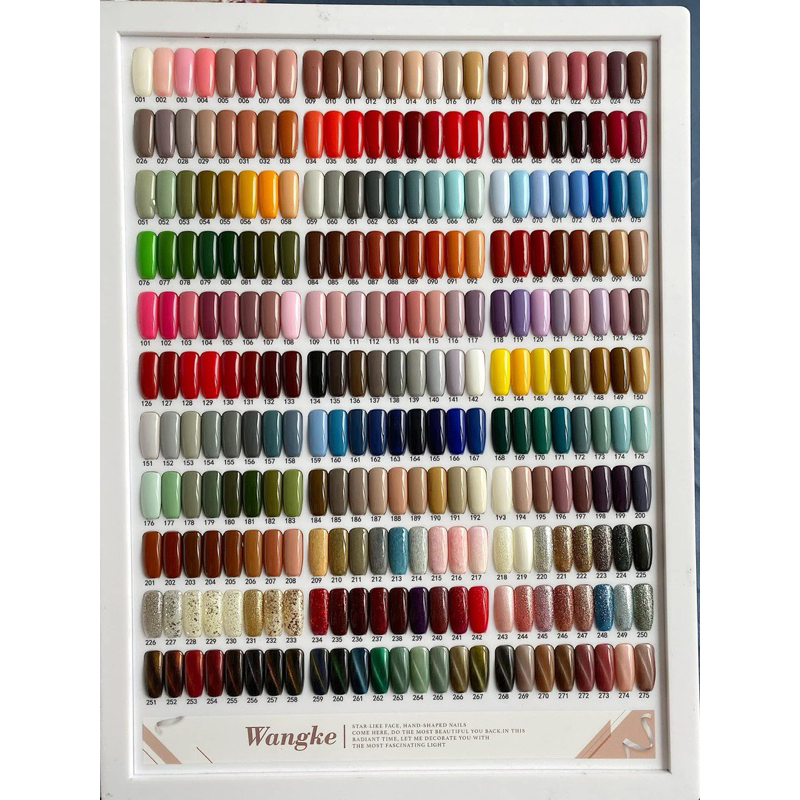 Sơn nơ wangke ( ib màu )