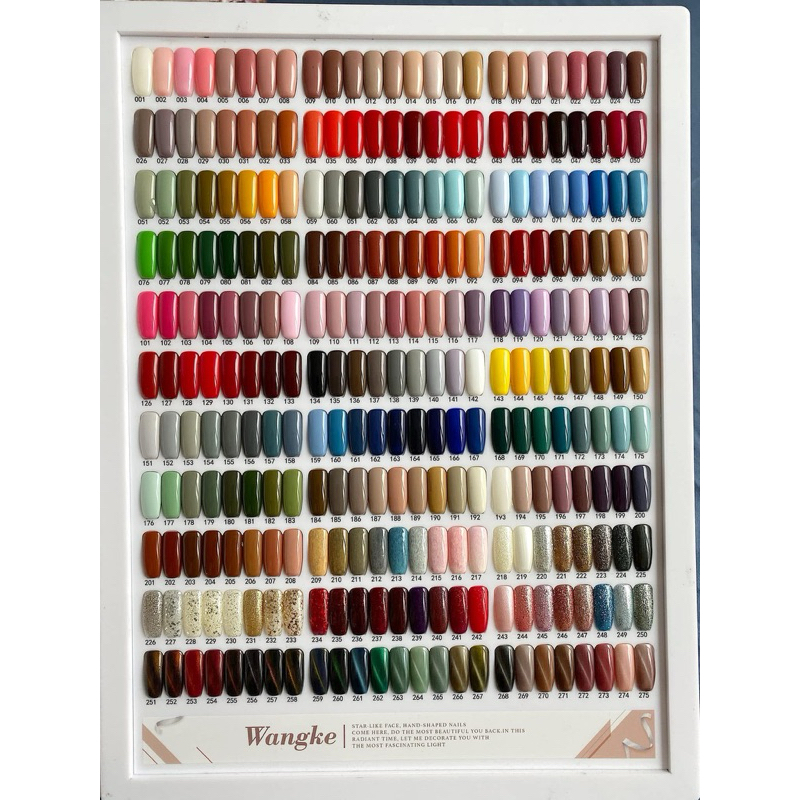 set sơn nơ wangke 275 màu kèm bảng màu