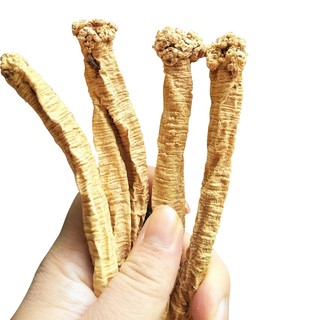 Phòng Đảng Sâm khô loại 1 _100 gram.