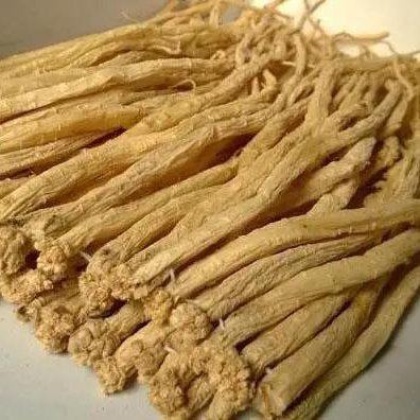 Đảng Sâm Loại 1 khô,to,đẹp 100 gram.