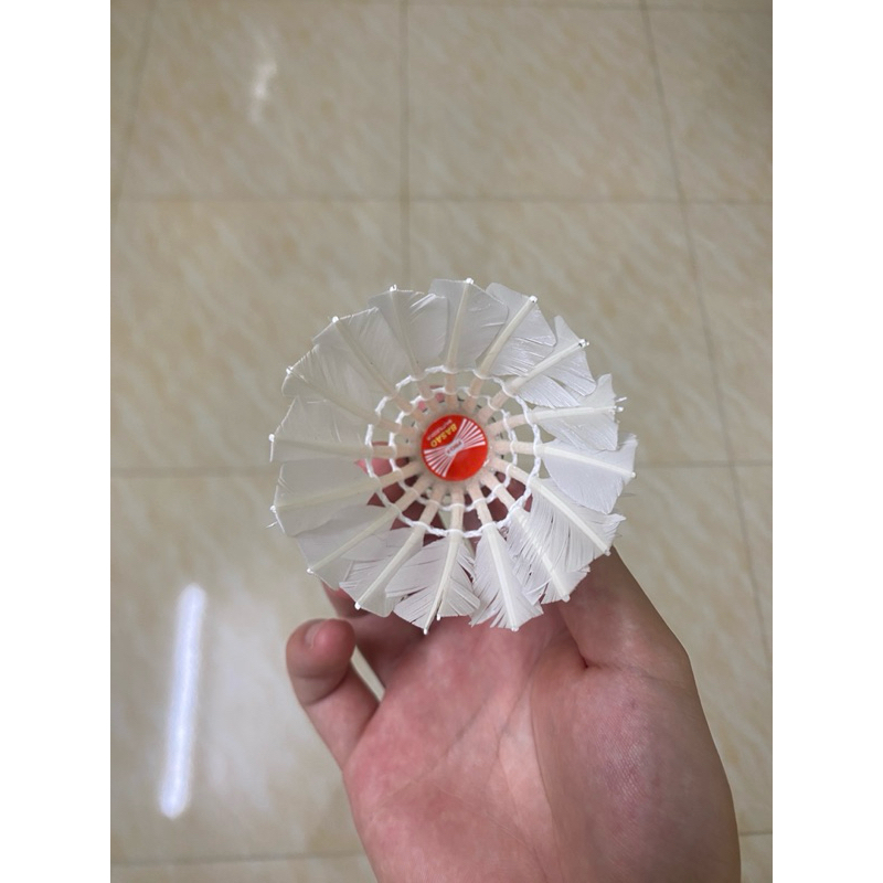 12 Quả cầu lông cũ, ống cầu lông cũ 70%-90%