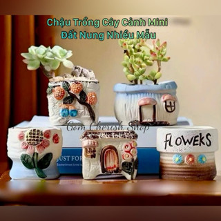 Chậu MiNi link1 (được chọn mẫu), trồng cây cảnh sen đá xương rồng giá rẻ