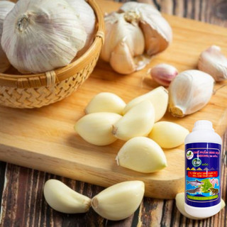 Chế phẩm sinh học EM GỐC 1 Lít