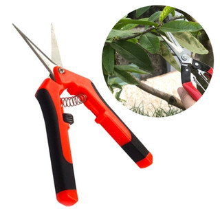 Kéo cắt cành thương hiệu licota model tgp-00248-6
