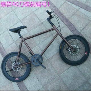 Xe đạp thể thao size 20 - odr