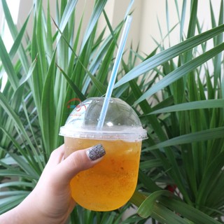 Lốc 50 Ly Đáy Bầu 360ML Nhựa PP, Trong suốt, Trơn, Dày Dặn.