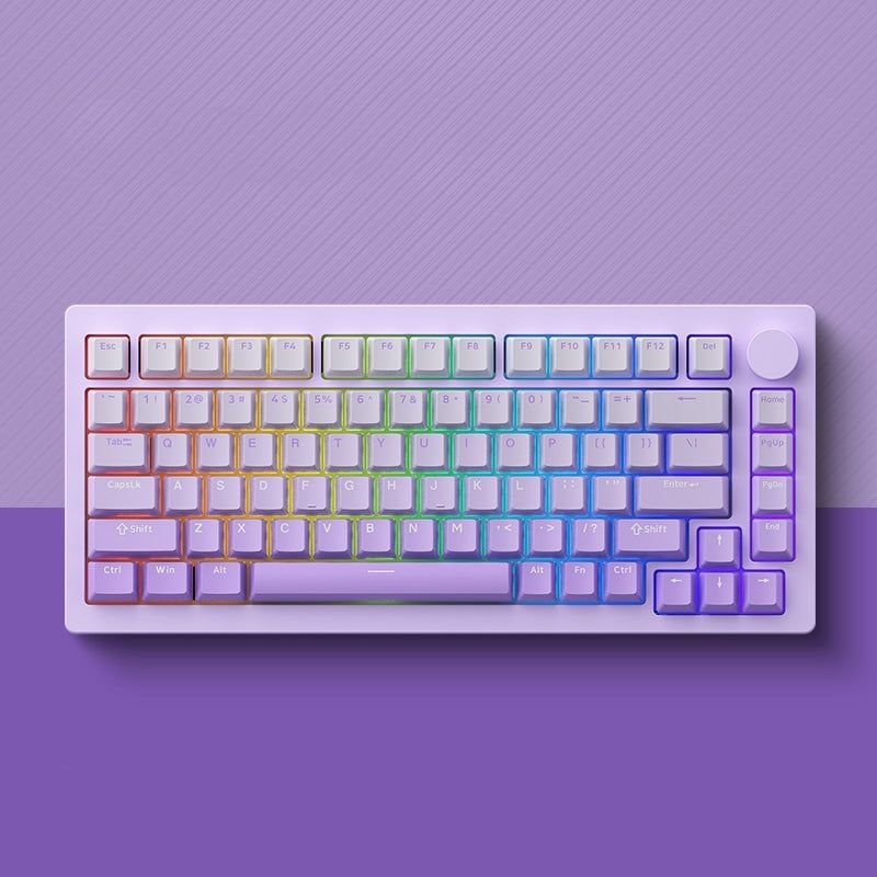 Bàn phím cơ nhôm Monsgeek M1W - SP (tím)