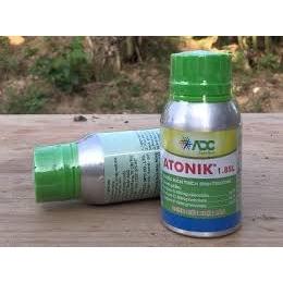 1 CHAI ATONIK 100ML, KÍCH RỄ, BẬT MẦM...
