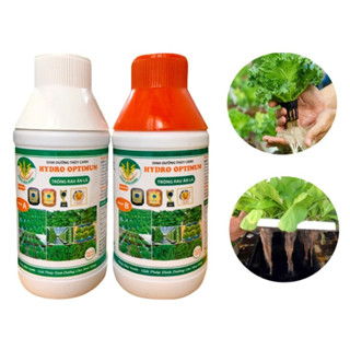  Dung Dịch Thủy Canh Trồng Rau Ăn Lá Hydro Optimum Bộ 2 Chai AB 