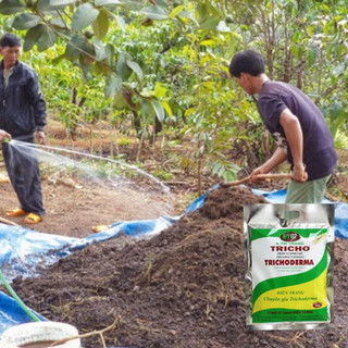 Nấm Đối Kháng Trichoderma Điền Trang | Ủ Phân - Cải Tạo Đất - Bảo Vệ Rễ Gói 1 KG