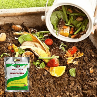 Nấm Đối Kháng Trichoderma Điền Trang | Ủ Phân - Cải Tạo Đất - Bảo Vệ Rễ Gói 1 KG