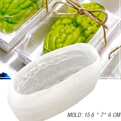 Khuôn silicon trái khổ qua quả mướp đắng