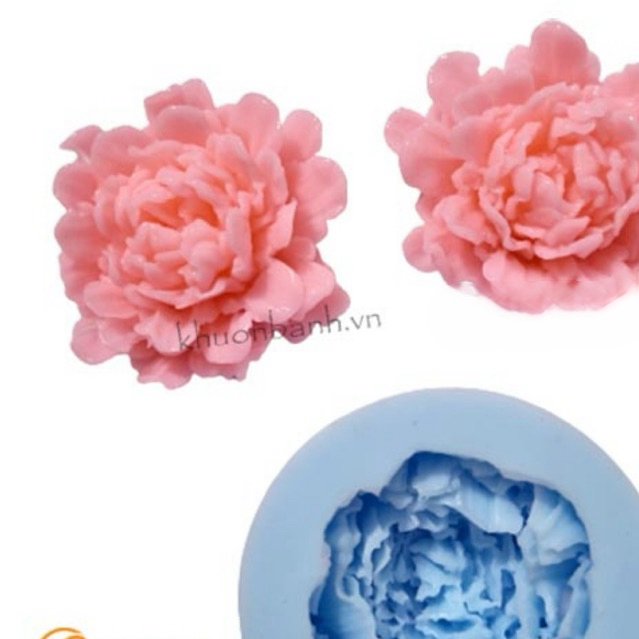 Khuôn silicon mẫu đơn hàn quốc