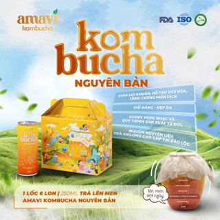 Lốc 6 lon Kombucha trà lên men tự nhiên AMAVI KOMBUCHA | Lốc 6 x 250ml