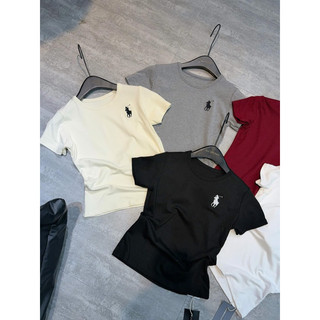 Áo Thun Nữ , Áo Thun Babytee Hình Ngựa