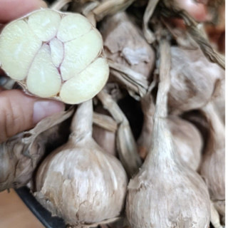 Tỏi ta, tỏi bắc Kinh Môn Hải Dương - Củ to, hàng loại 1 - Thơm,ngon,nhiều công dụng