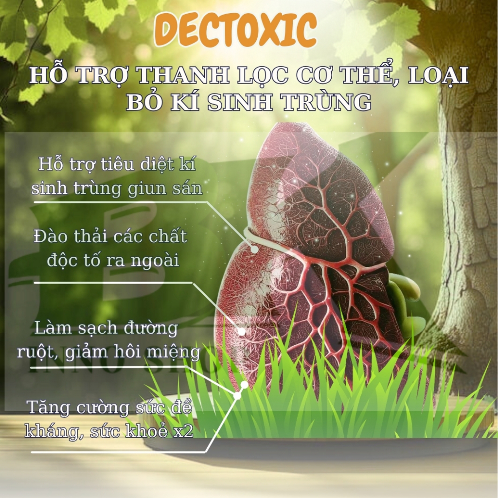 Viên Uống Thảo Dược DETOXIC Nga – Hỗ Trợ Thanh Lọc Cơ Thể, Cải Thiện Tiêu Hóa, Loại Bỏ Ký Sinh Trùng, Giun Sán | BK INNO