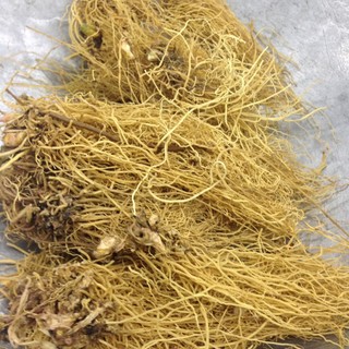 Tế Tân khô sạch _100 gram.