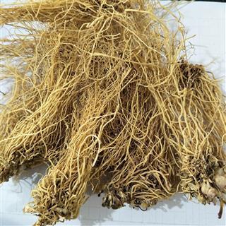 Tế Tân khô sạch _100 gram.