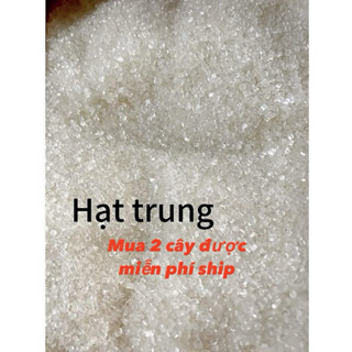 (Cây 12kg) Đường cát trắng hạt Trung (vừa)