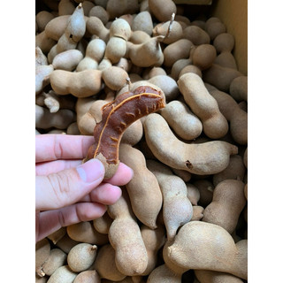 Me sấy ngọt loại vừa 1kg <Đọc mô tả>