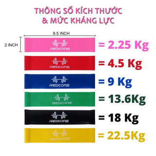 Dây Miniband Đàn Hồi Kháng Lực Tập Mông Đùi Cho Nữ REDCORE