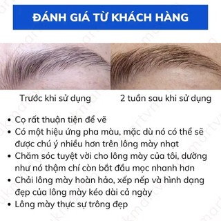 Dưỡng lông mày Eveline - Dưỡng mày Eveline 8in1