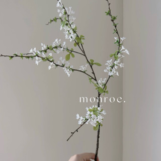 Hoả Tốc* Cành Hoa Tuyết Mai Nhân Tạo Cao Cấp Màu Trắng Cắm Bình Trang Trí Nghệ Thuật Đặt Phòng Khách Sang Trọng