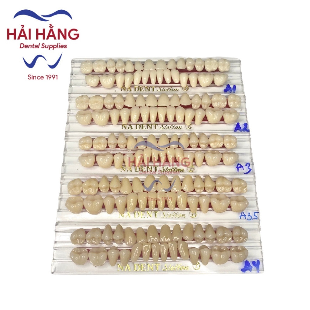 Răng nhựa tháo lắp NADENT (Việt Nam) - inbox để chọn màu răng