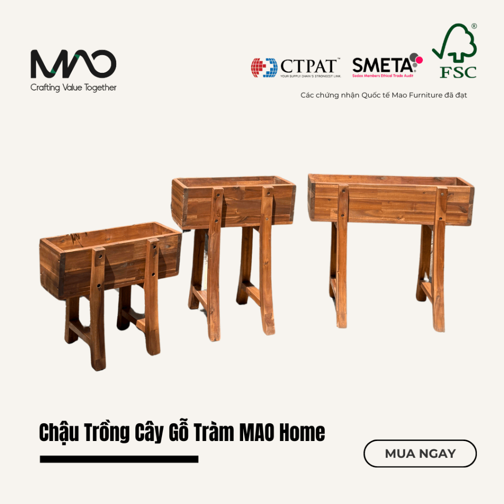 Chậu Trồng Cây Gỗ Tràm 3 Size MAO Home