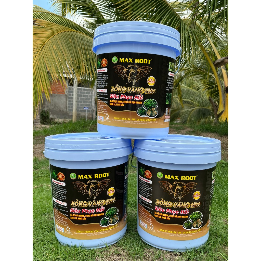 MAX ROOT RỒNG VÀNG 9999