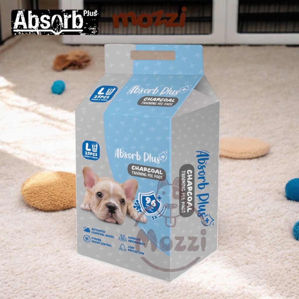 TÃ lót than hoạt tính Absorb Plus size 60*90cm
