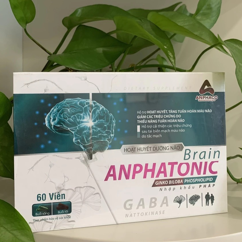 Hoạt huyết dưỡng não Brain Anphatonic, hỗ trợ cải thiện các triệu chứng sau tai biến ( Hộp 2 lọ x 30