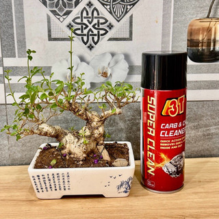 Chai vệ sinh bình xăng con, họng ga, kim phun xăng điện tử CARB & CHOKE CLEANER 3T 450ml