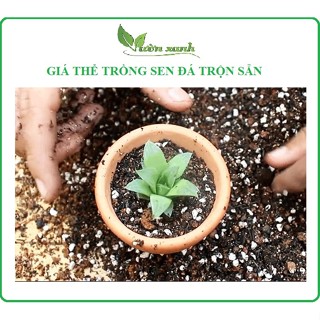   1kg  Đất trồng xương rồng sen đá ươm cây con giâm cành,...  mua nhiều shop đóng chung 1 túi  