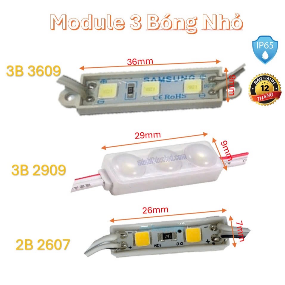 100 Bóng Led Module 3 Bóng mini Cao Cấp 2909/3609/2607